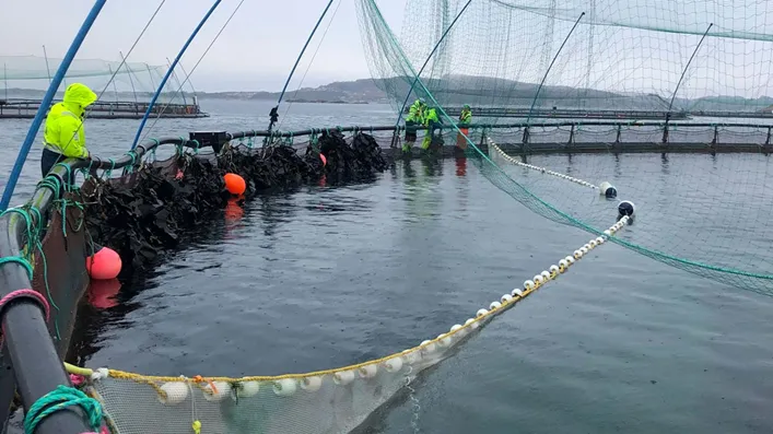 catchGOOD-gjenfangsnot-i-merd