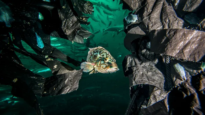 OK-Marine-hjelper-deg-velge-riktig-rensefiskskjul